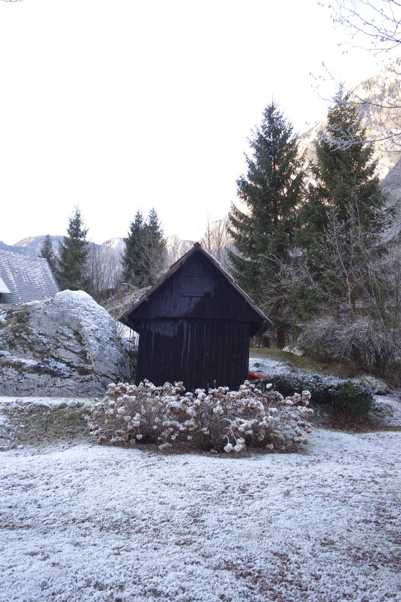 Mon voyage à Bohinj en Slovénie