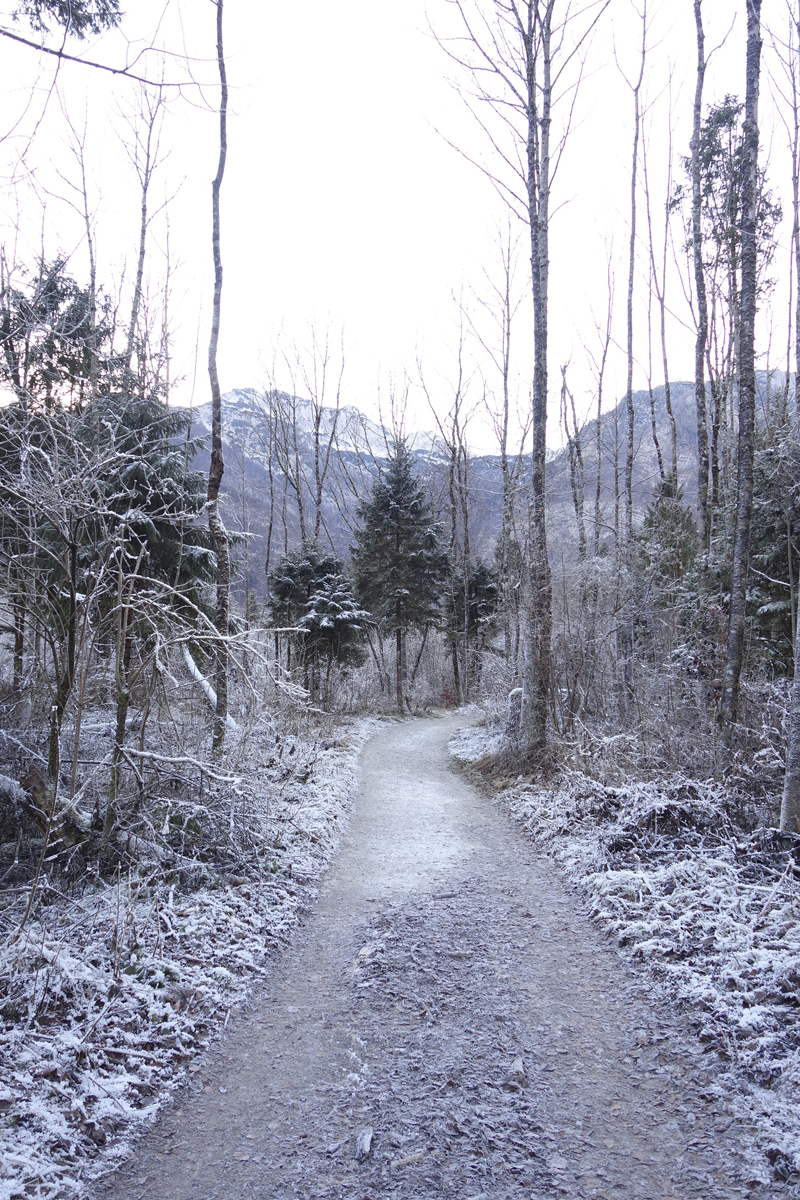 Mon voyage à Bohinj en Slovénie