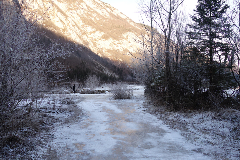 Mon voyage à Bohinj en Slovénie