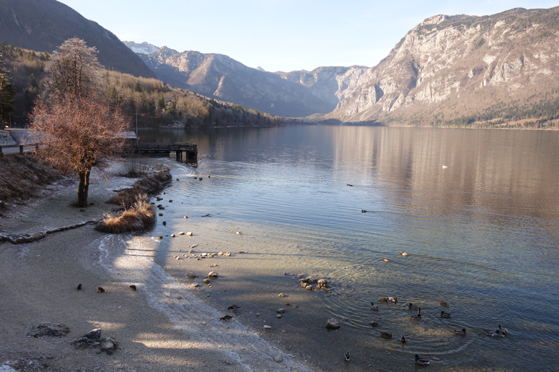 Mon voyage à Bohinj en Slovénie