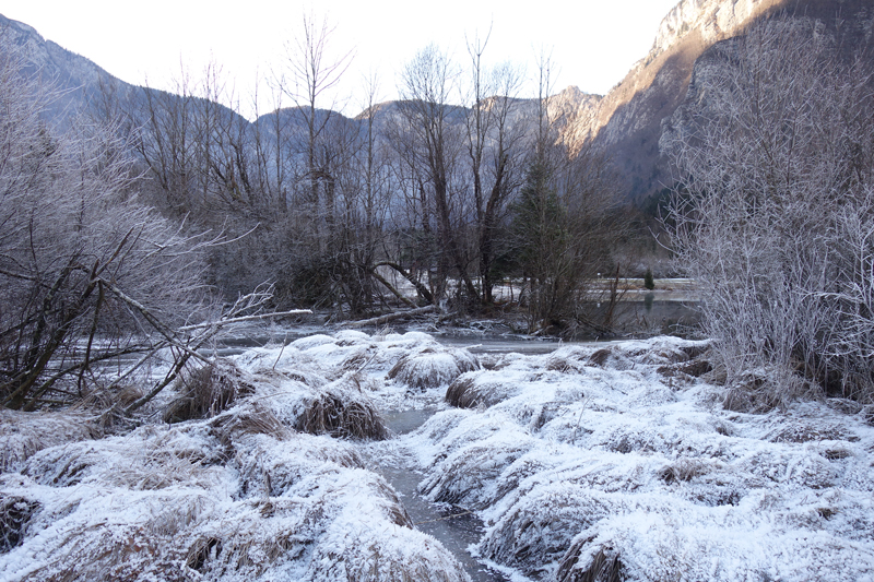 Mon voyage à Bohinj en Slovénie