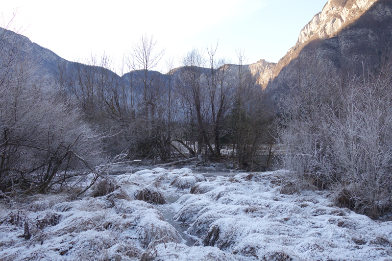 Mon voyage à Bohinj en Slovénie