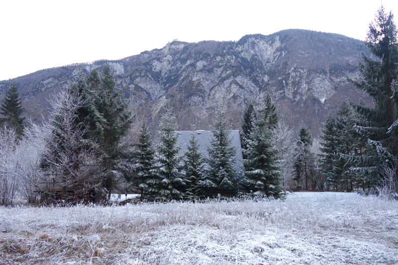 Mon voyage à Bohinj en Slovénie