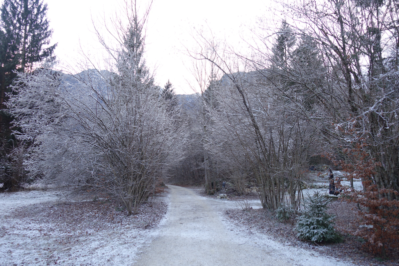 Mon voyage à Bohinj en Slovénie