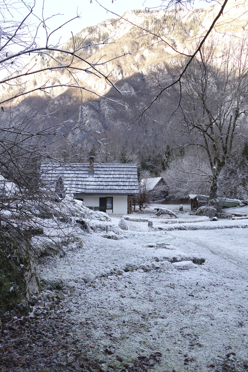 Mon voyage à Bohinj en Slovénie