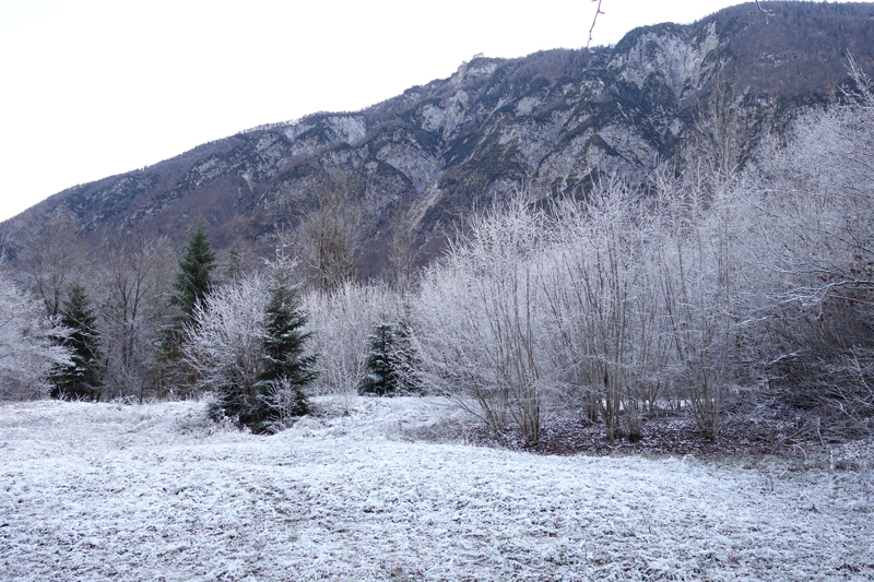 Mon voyage à Bohinj en Slovénie