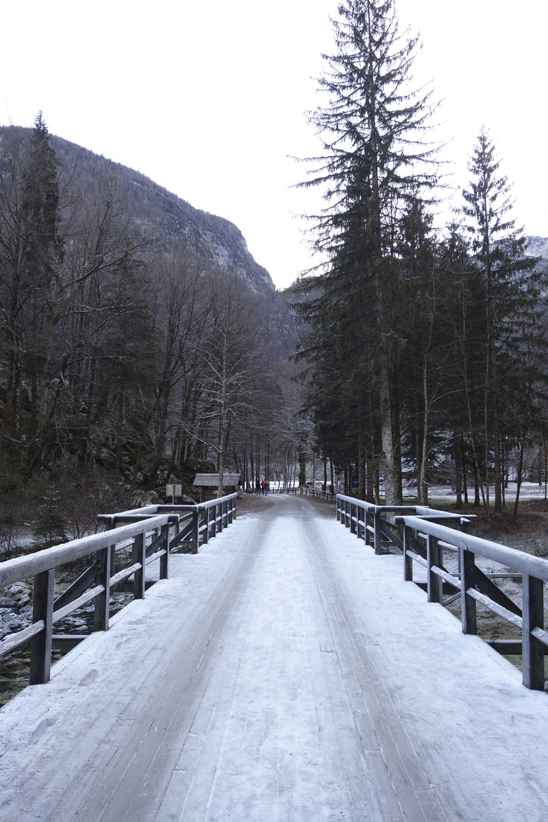 Mon voyage à Bohinj en Slovénie