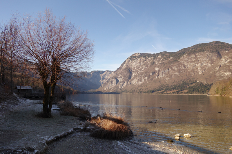 Mon voyage à Bohinj en Slovénie