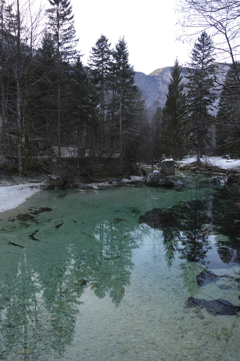 Mon voyage à Bohinj en Slovénie