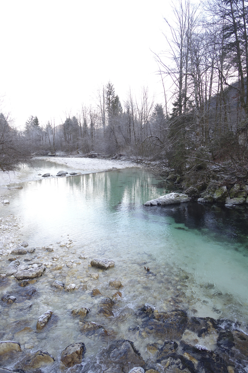 Mon voyage à Bohinj en Slovénie