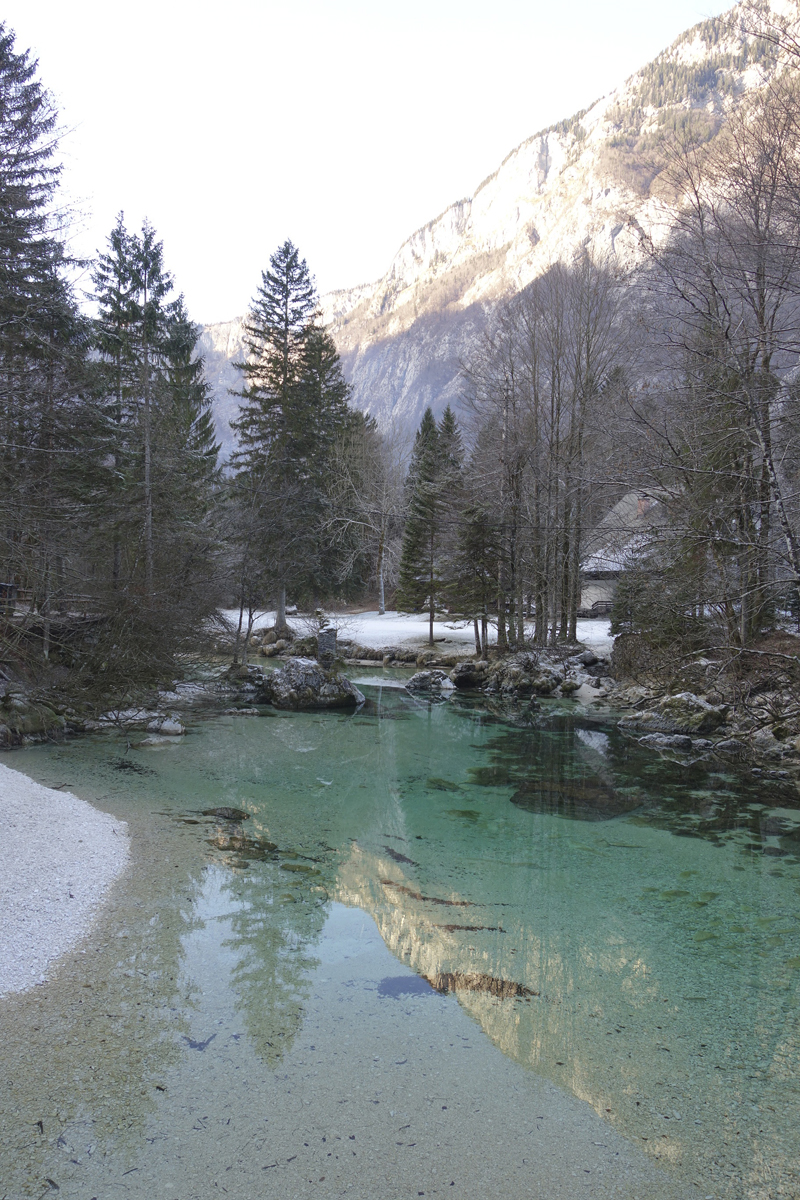 Mon voyage à Bohinj en Slovénie