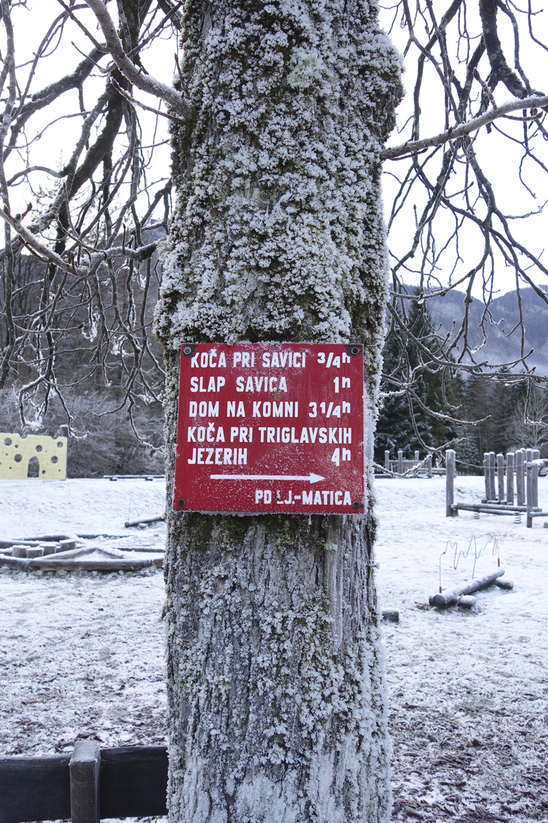 Mon voyage à Bohinj en Slovénie