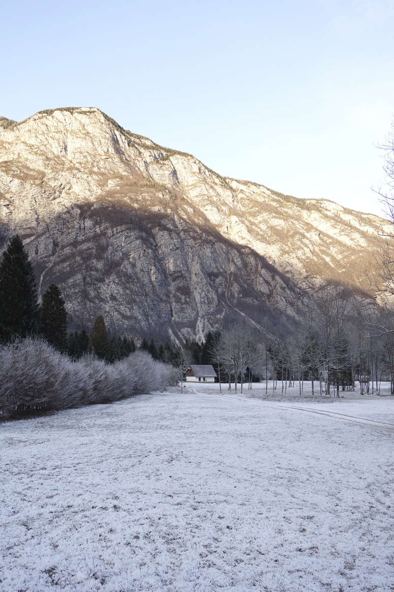 Mon voyage à Bohinj en Slovénie