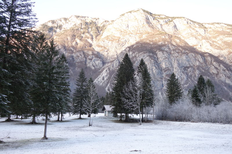 Mon voyage à Bohinj en Slovénie