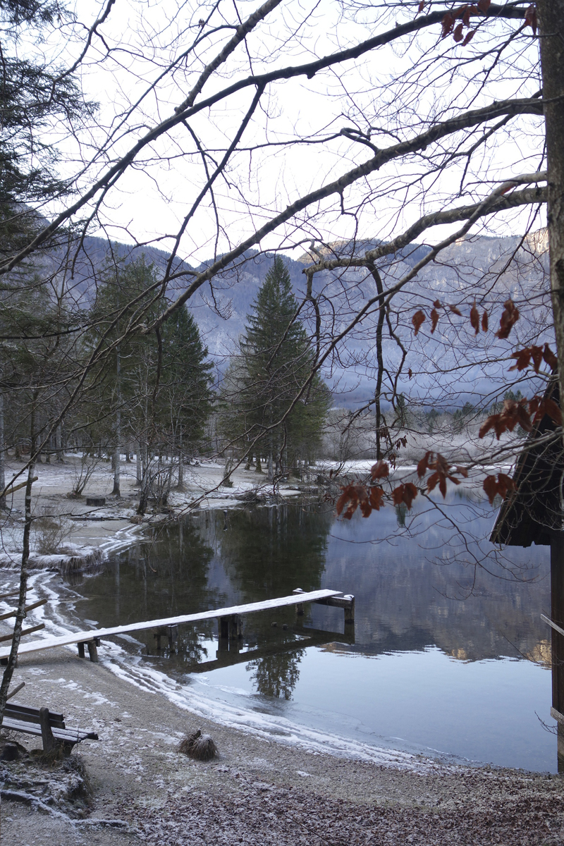 Mon voyage à Bohinj en Slovénie