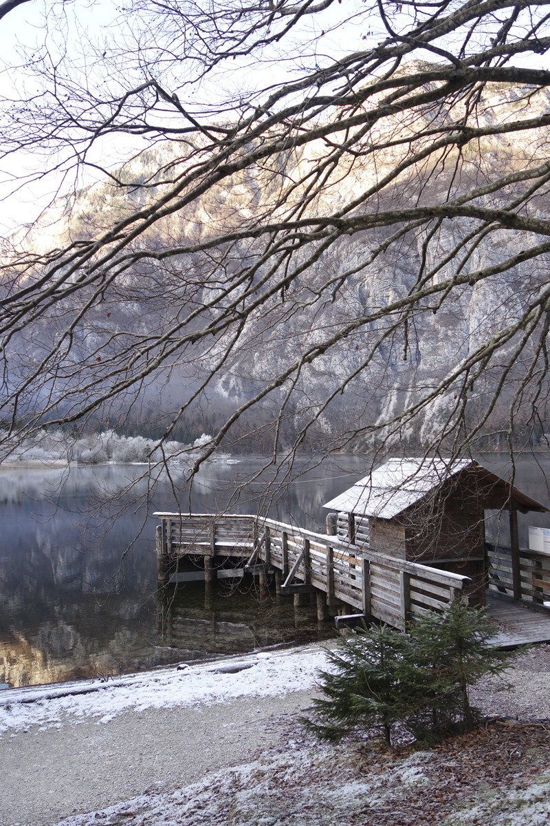 Mon voyage à Bohinj en Slovénie