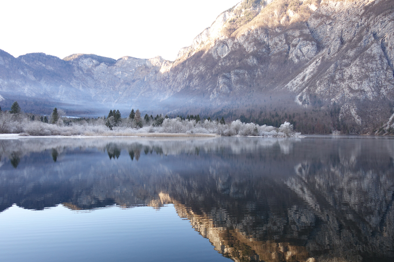 Mon voyage à Bohinj en Slovénie