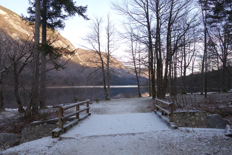 Mon voyage à Bohinj en Slovénie