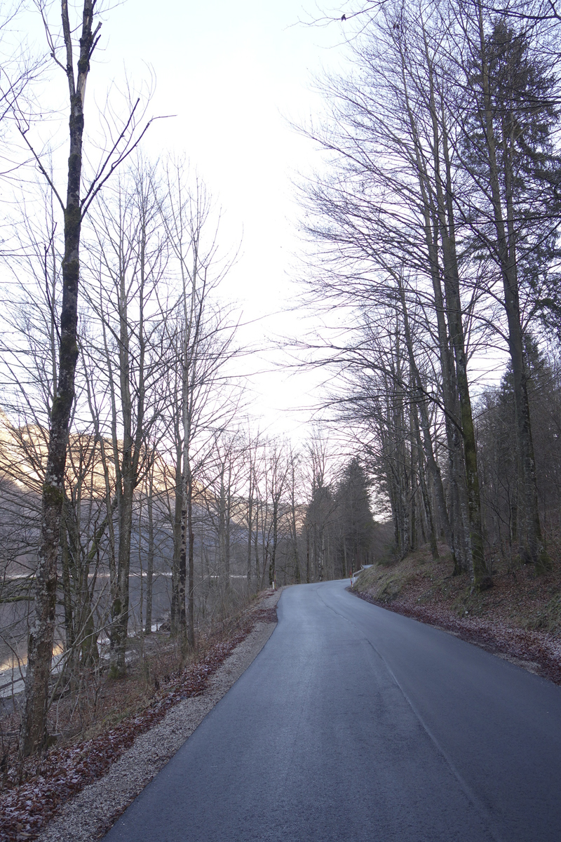 Mon voyage à Bohinj en Slovénie