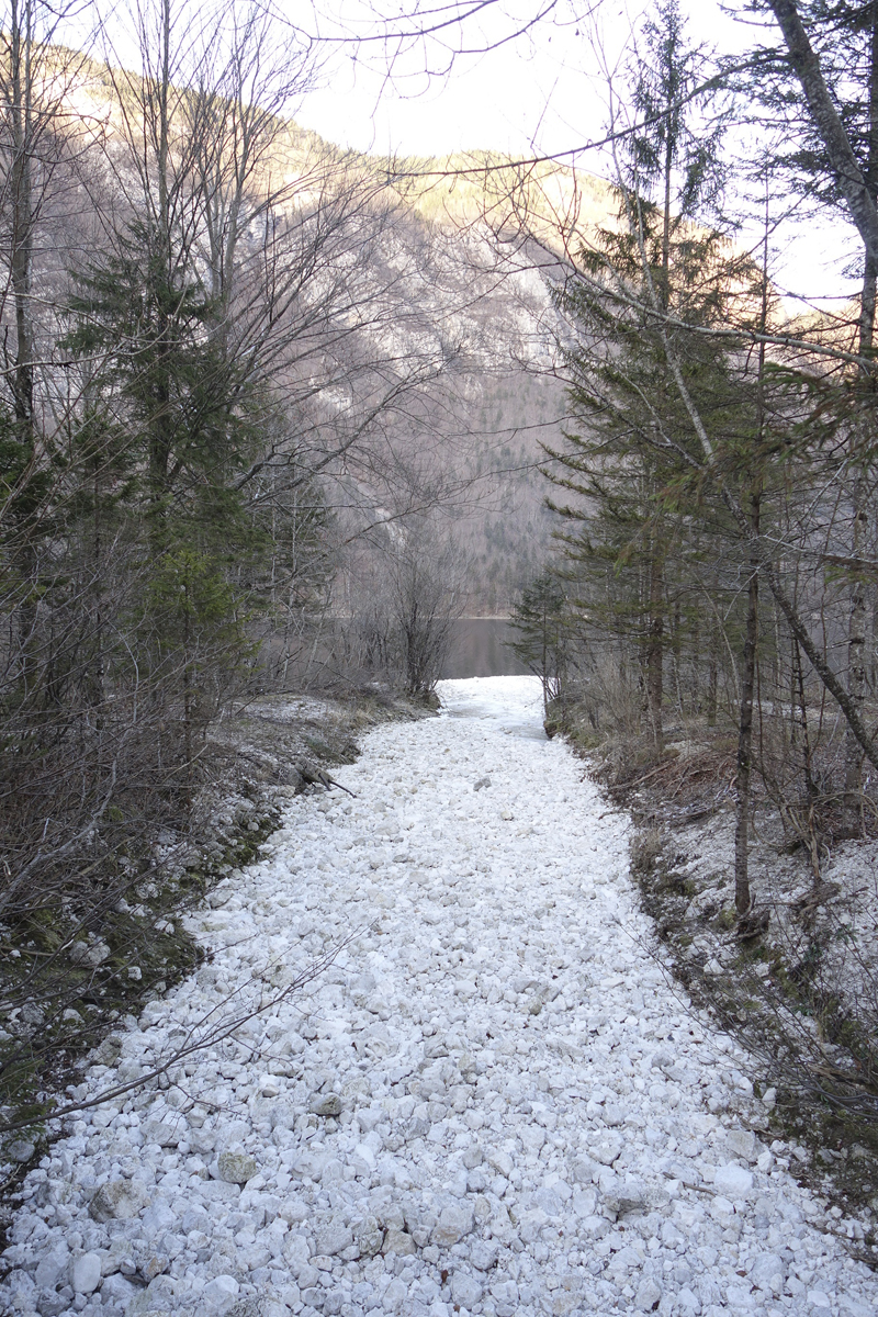 Mon voyage à Bohinj en Slovénie