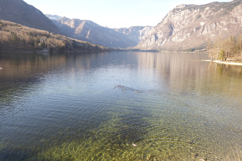 Mon voyage à Bohinj en Slovénie