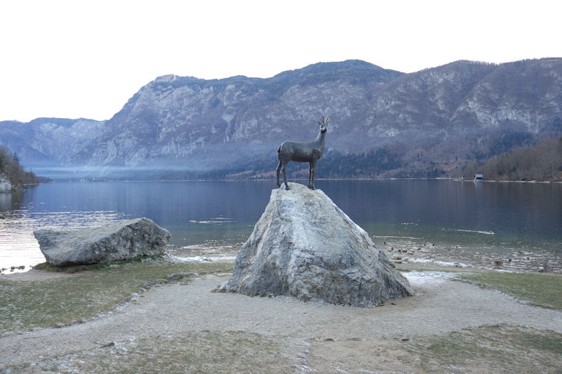 Mon voyage à Bohinj en Slovénie