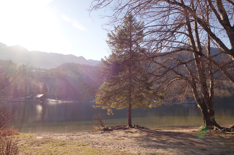 Mon voyage à Bohinj en Slovénie