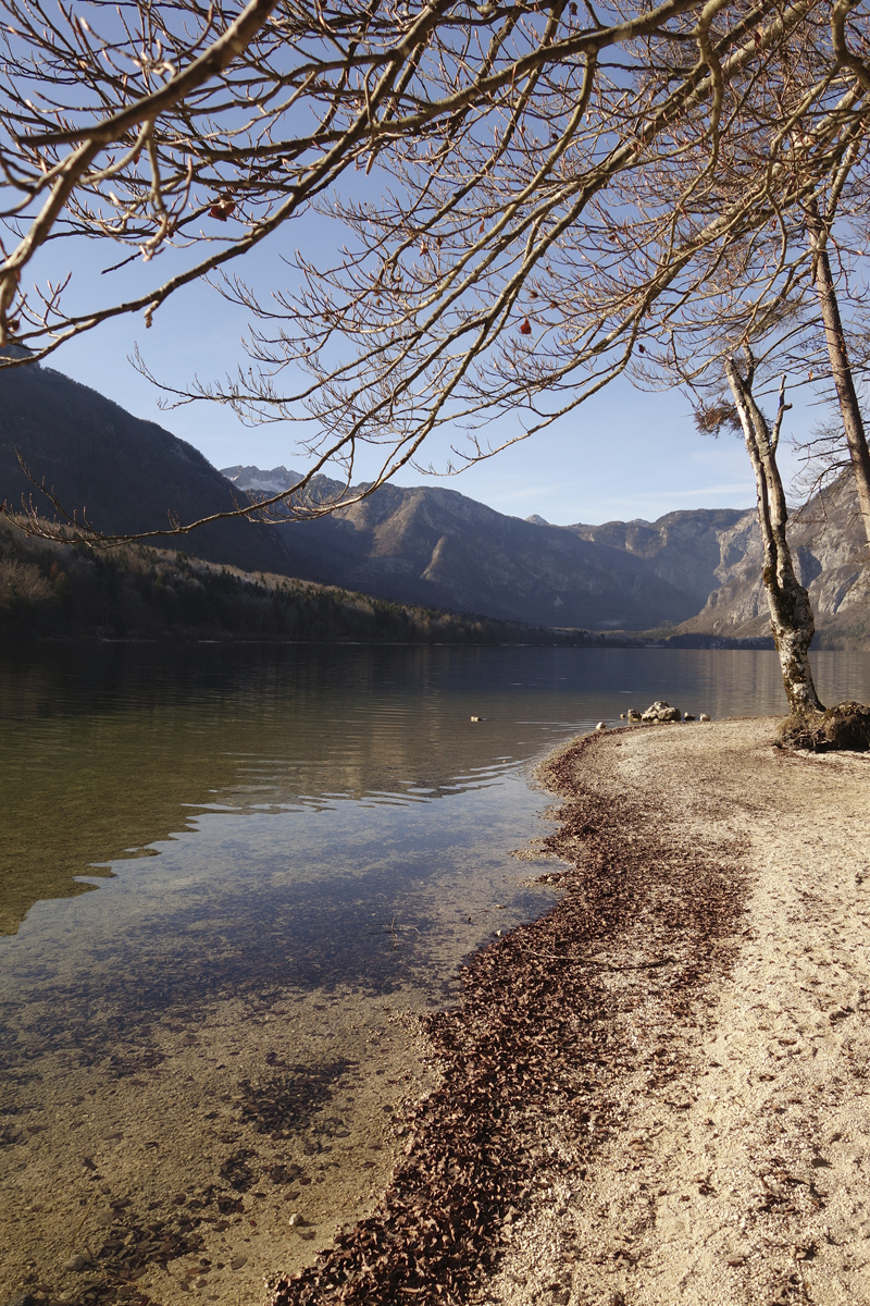 Mon voyage à Bohinj en Slovénie