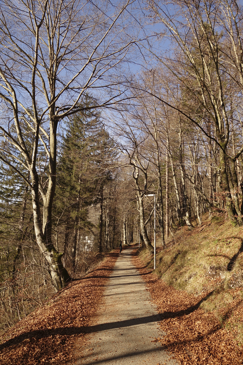 Mon voyage à Bohinj en Slovénie