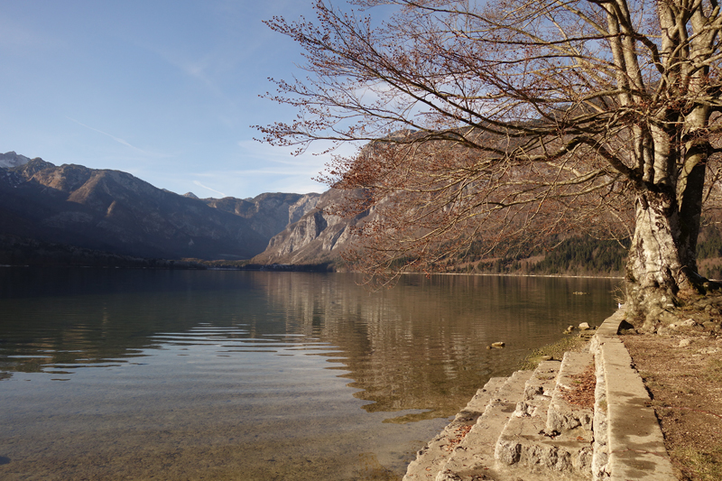 Mon voyage à Bohinj en Slovénie