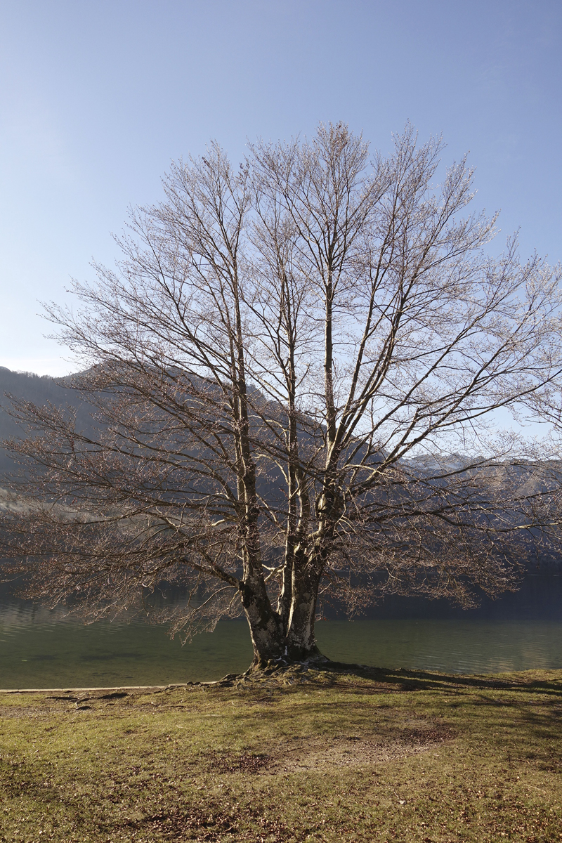 Mon voyage à Bohinj en Slovénie