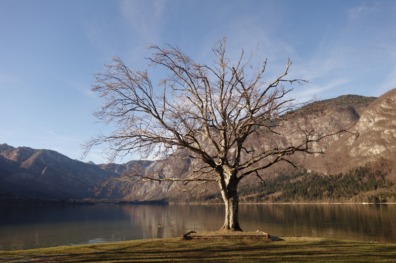 Mon voyage à Bohinj en Slovénie