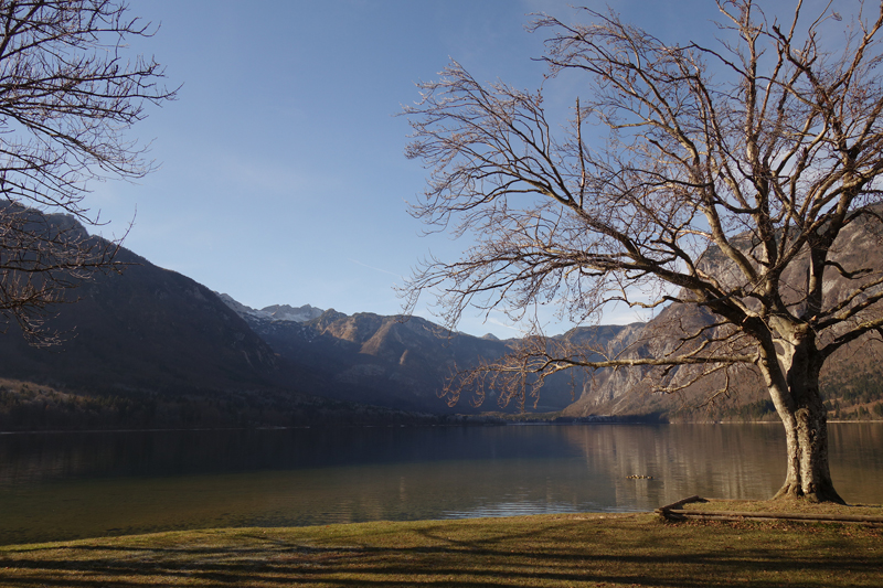 Mon voyage à Bohinj en Slovénie