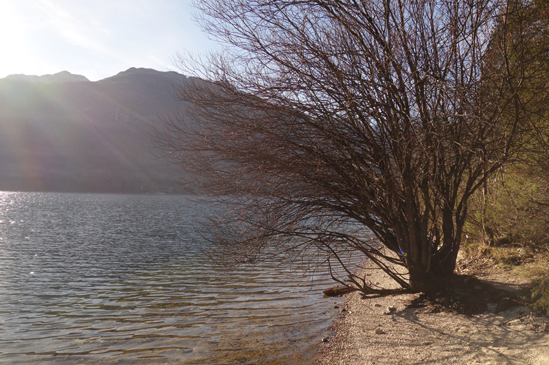 Mon voyage à Bohinj en Slovénie