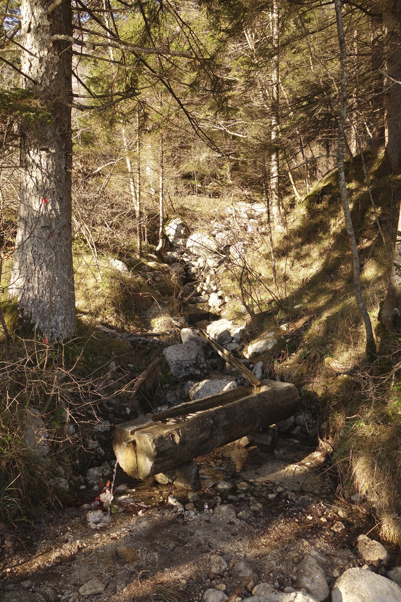 Mon voyage à Bohinj en Slovénie