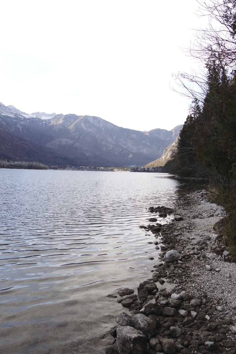 Mon voyage à Bohinj en Slovénie