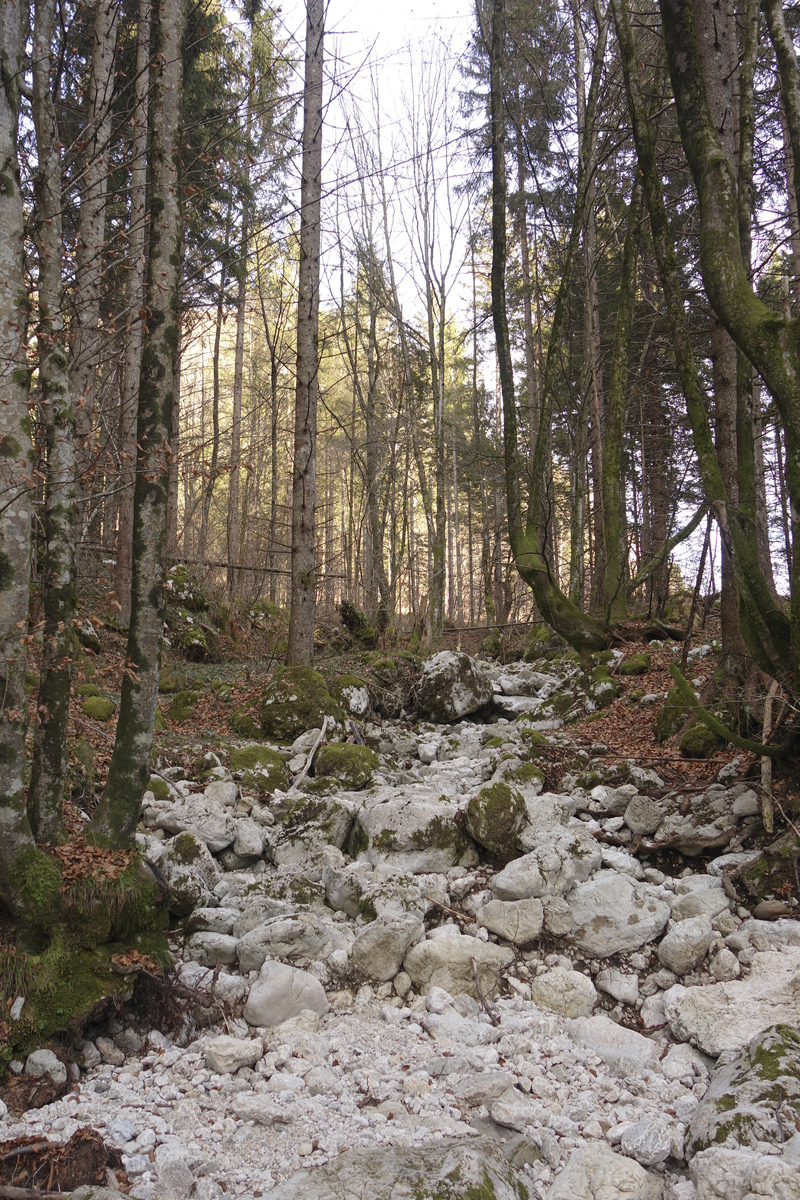 Mon voyage à Bohinj en Slovénie