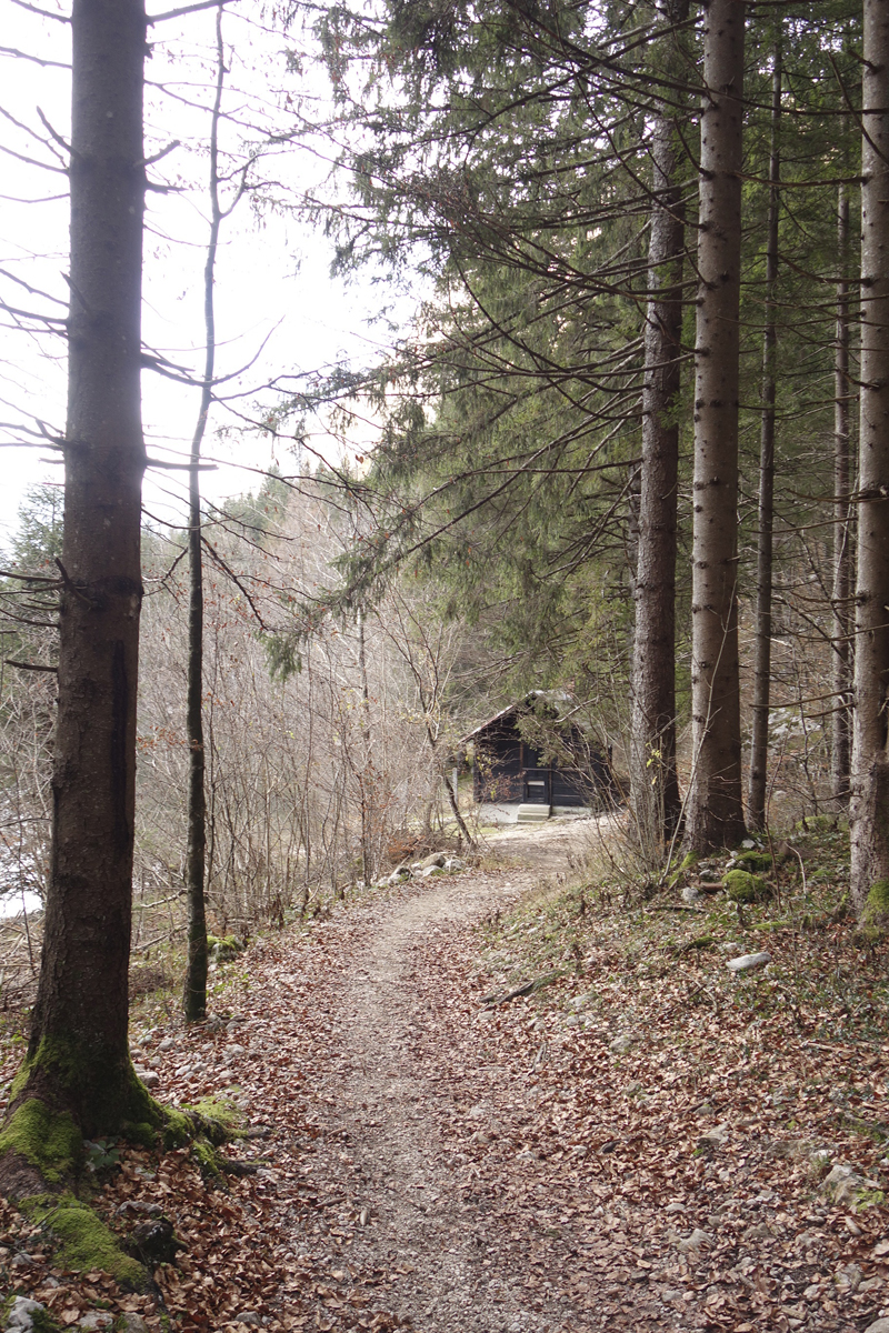 Mon voyage à Bohinj en Slovénie