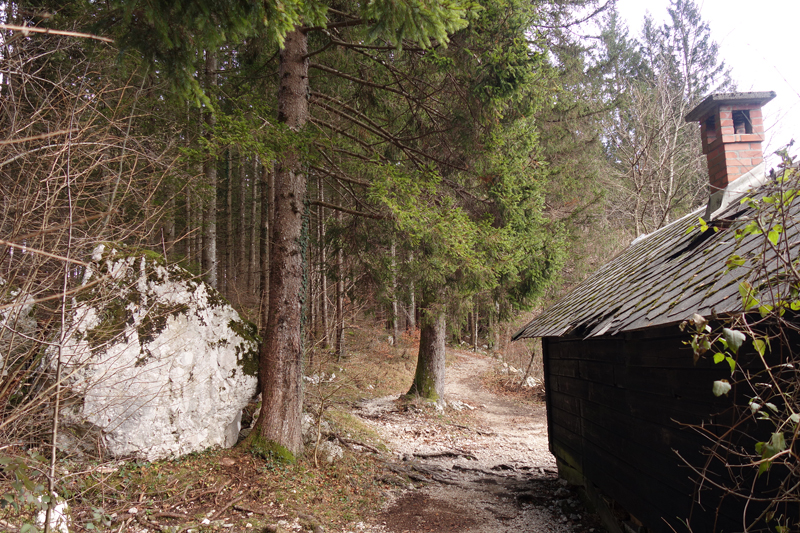 Mon voyage à Bohinj en Slovénie