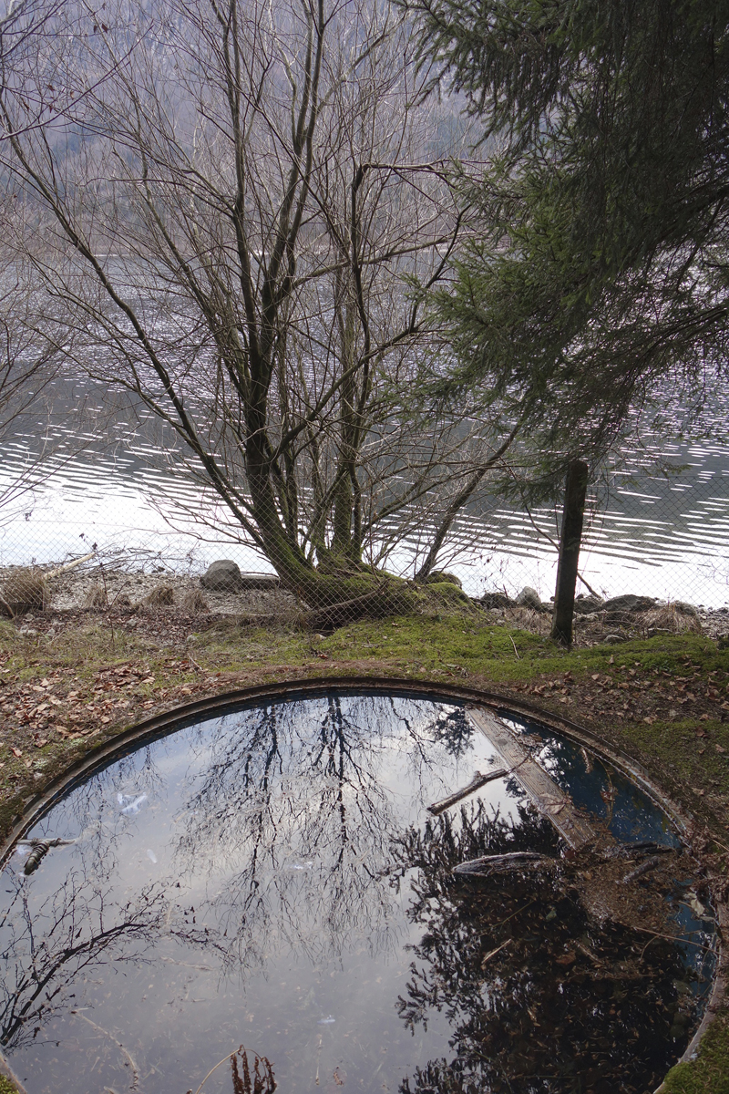 Mon voyage à Bohinj en Slovénie