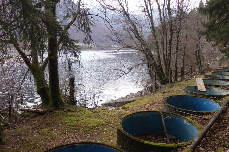 Mon voyage à Bohinj en Slovénie