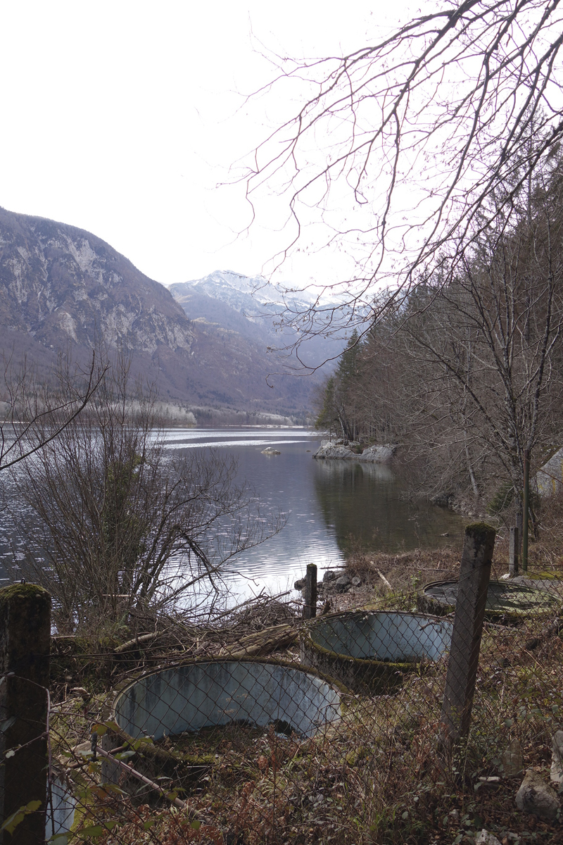 Mon voyage à Bohinj en Slovénie