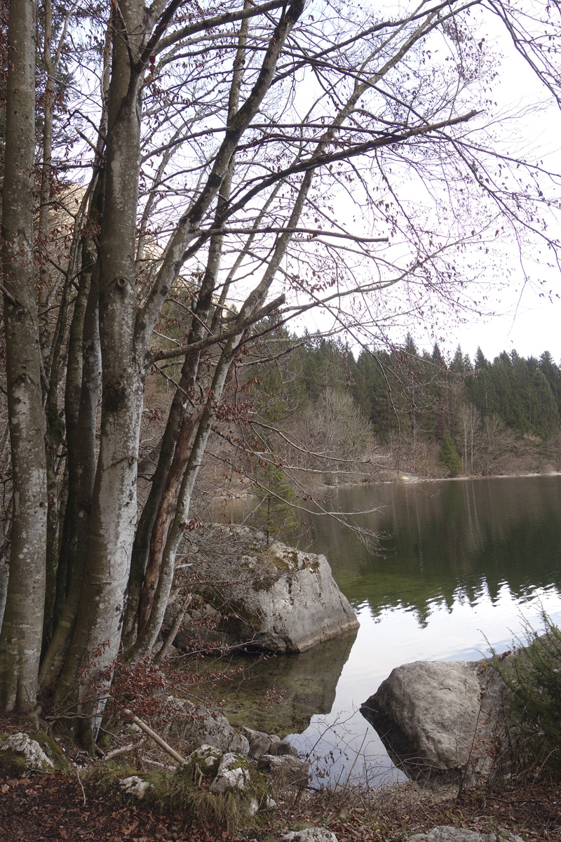 Mon voyage à Bohinj en Slovénie