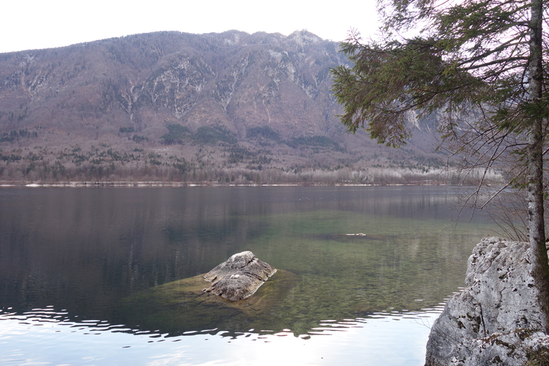 Mon voyage à Bohinj en Slovénie