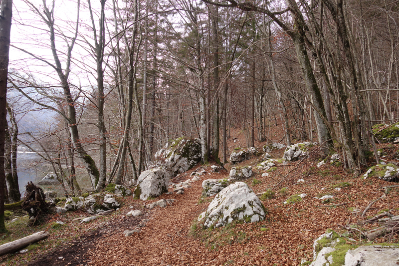 Mon voyage à Bohinj en Slovénie