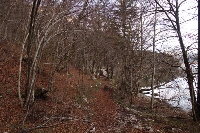 Mon voyage à Bohinj en Slovénie