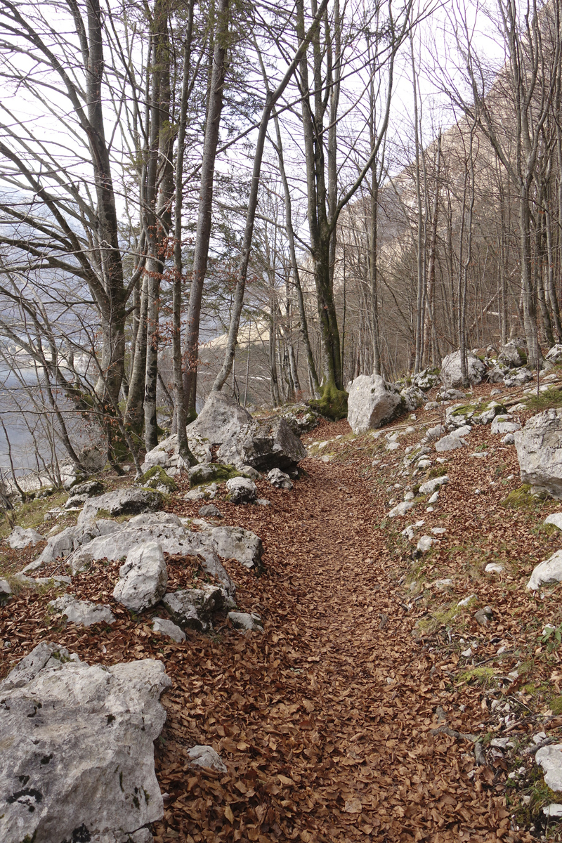 Mon voyage à Bohinj en Slovénie