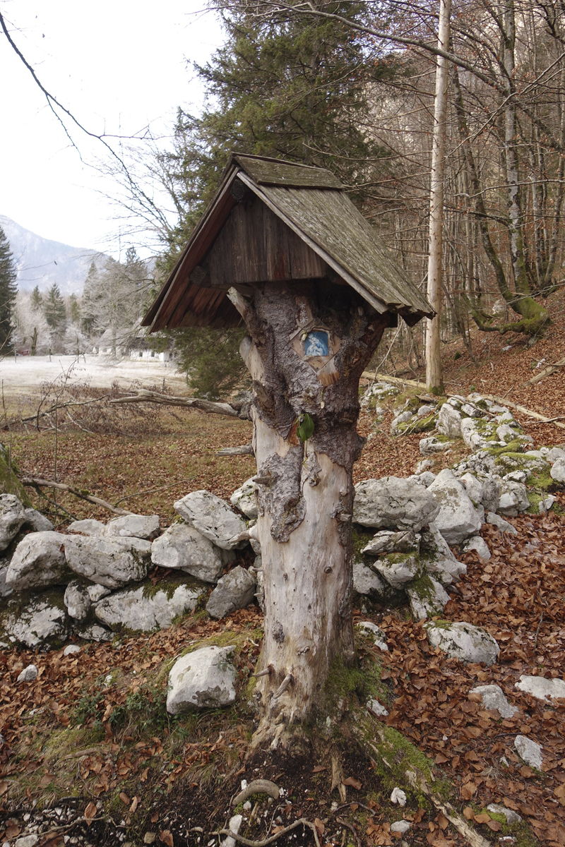 Mon voyage à Bohinj en Slovénie