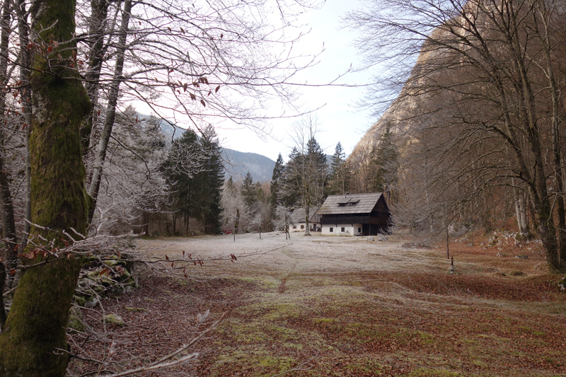 Mon voyage à Bohinj en Slovénie