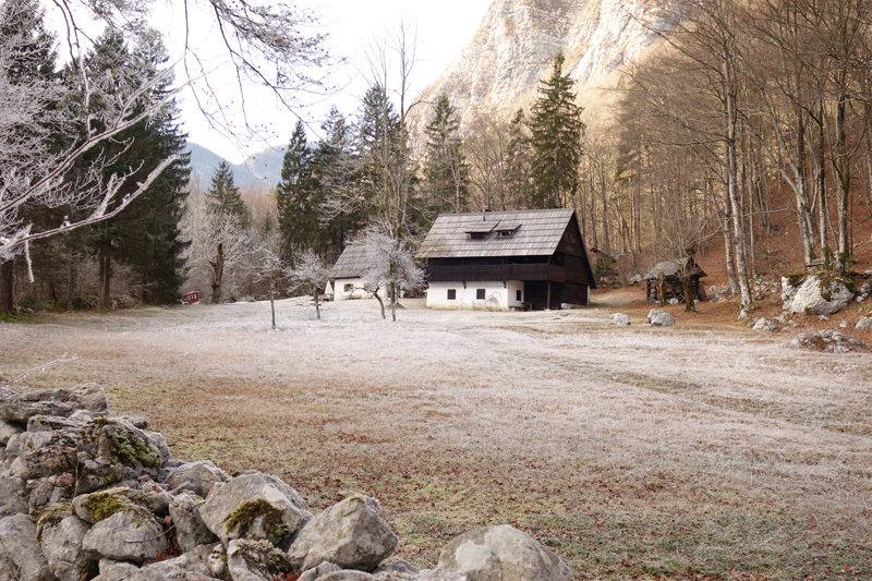 Mon voyage à Bohinj en Slovénie